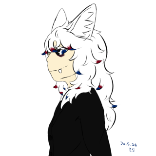 205242.png