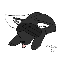 206261 着物.png