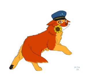 207141 ひまわり.png