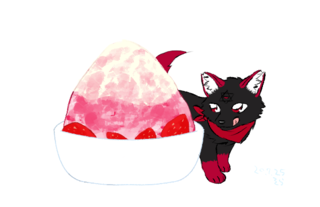 207251  X.png